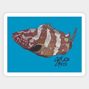 Nassau Grouper for light shirts Magnet